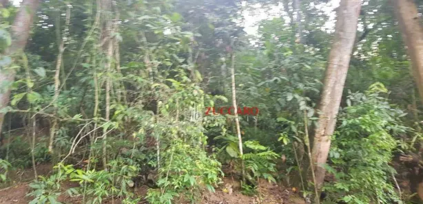 Terreno / Lote / Condomínio à venda, 2400m² no Rancho Grande, Mairiporã