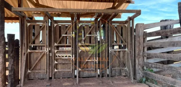 Fazenda / Sítio / Chácara com 3 Quartos à venda, 232m² no Setor Serrano, Paraíso do Tocantins