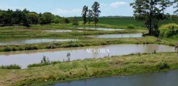 Fazenda / Sítio / Chácara à venda, 338800m² no , Leópolis