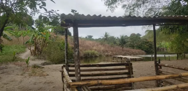 Fazenda / Sítio / Chácara com 4 Quartos à venda, 20000m² no Distrito Industrial (Prefeito José Augusto Ferrer de Morais), Vitória de Santo Antão