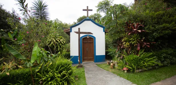 Fazenda / Sítio / Chácara com 8 Quartos à venda, 800m² no Barrinha, São Lourenço da Serra