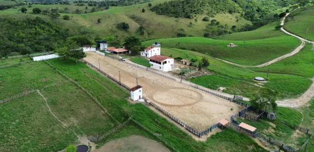 Fazenda / Sítio / Chácara à venda, 10000m² no , Canhotinho