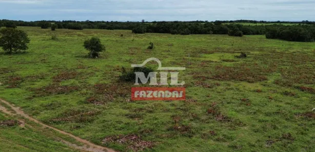 Fazenda / Sítio / Chácara à venda, 500m² no , Formoso do Araguaia