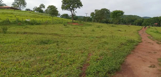 Fazenda / Sítio / Chácara com 3 Quartos à venda, 130000m² no , Padre Bernardo
