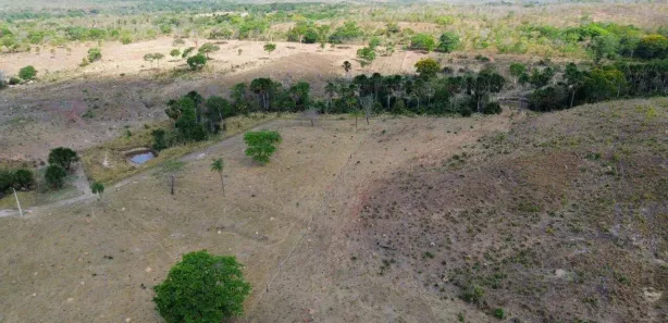 Fazenda / Sítio / Chácara à venda, 3581600m² no Setor Central, Santa Maria do Tocantins