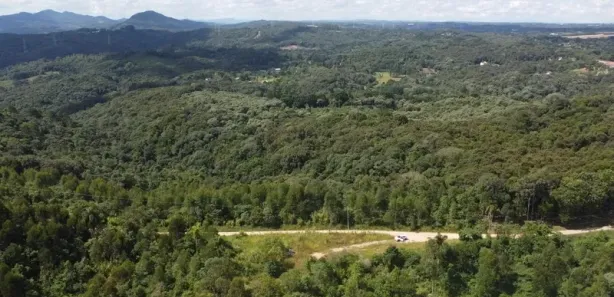 Fazenda / Sítio / Chácara com 1 Quarto à venda, 20000m² no Itaqui de Cima, Campo Largo