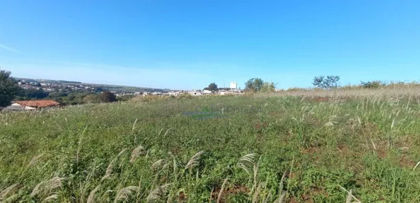Fazenda / Sítio / Chácara à venda, 1750m² no , Assaí