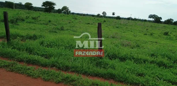 Fazenda / Sítio / Chácara à venda, 500m² no , Formoso do Araguaia