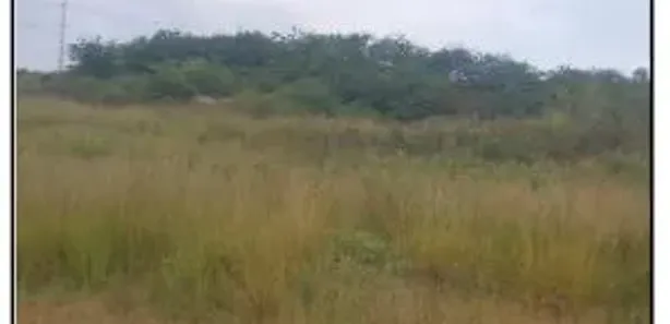 Terreno / Lote / Condomínio com 1 Quarto à venda, 1000m² no Aliança, Aliança