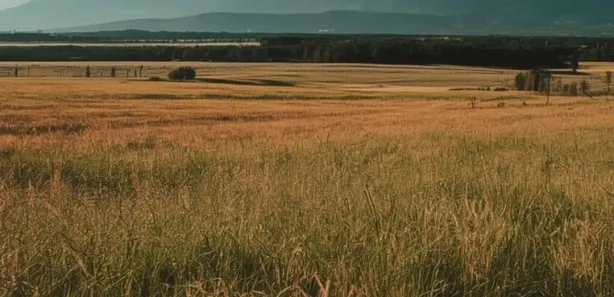 Fazenda / Sítio / Chácara à venda, 1000m² no , Alumínio