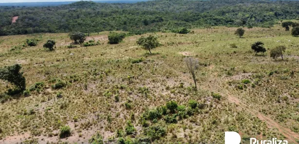 Fazenda / Sítio / Chácara à venda, 348m² no , Rio Sono