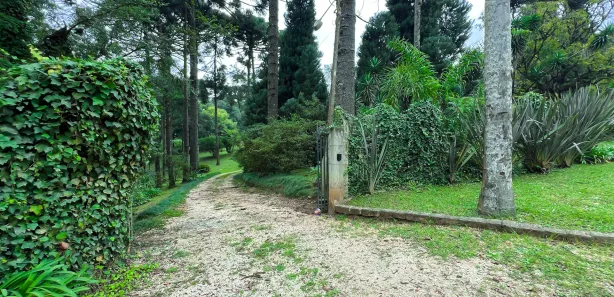 Fazenda / Sítio / Chácara à venda, 11141m² no Mato Dentro, Almirante Tamandaré