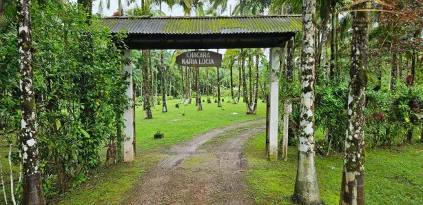 Fazenda / Sítio / Chácara com 4 Quartos à venda, 36469m² no , Antonina