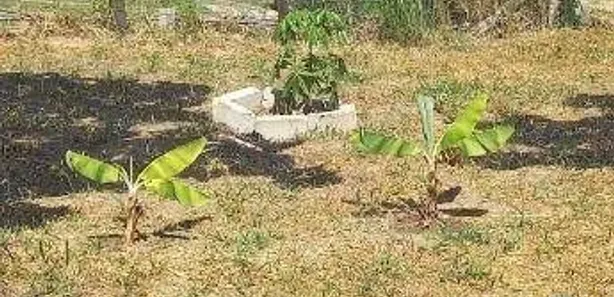 Fazenda / Sítio / Chácara com 1 Quarto à venda, 35m² no São João da Boa Vista, Caçapava