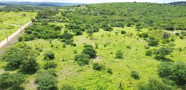 Fazenda / Sítio / Chácara com 9 Quartos à venda, 152000m² no Área Rural de Gravatá, Gravatá