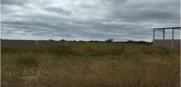 Fazenda / Sítio / Chácara à venda, 27000000m² no , Petrolina