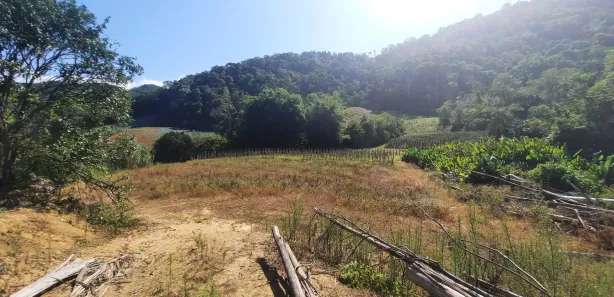 Fazenda / Sítio / Chácara com 2 Quartos à venda, 20000m² no , Águas Mornas