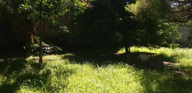 Fazenda / Sítio / Chácara com 3 Quartos à venda, 1500m² no Bazílio, Rio Bonito
