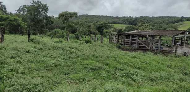 Terreno / Lote / Condomínio à venda, 20000m² no Zona Rural, Fortuna de Minas