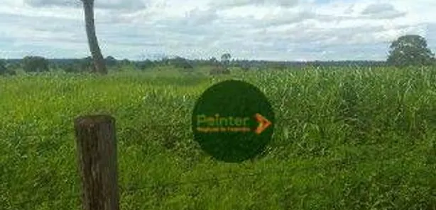 Fazenda / Sítio / Chácara à venda, 8131200m² no , Lagoa Santa