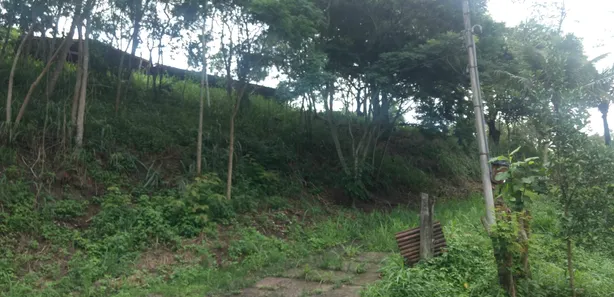 Fazenda / Sítio / Chácara com 2 Quartos à venda, 11000m² no Barreira (Bacaxá), Saquarema