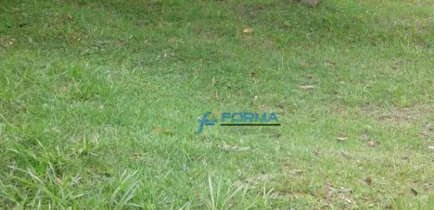 Terreno / Lote / Condomínio à venda, 372m² no Parque Terra Nova II, São Bernardo do Campo