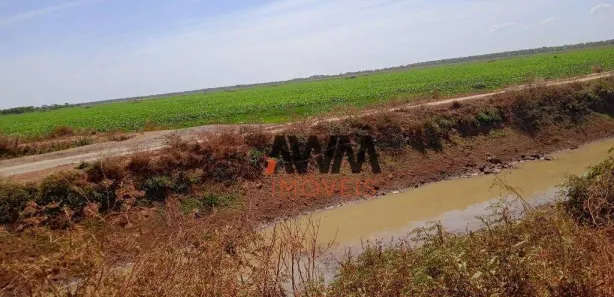 Fazenda / Sítio / Chácara à venda, 72600000m² no Javaés, Lagoa da Confusão