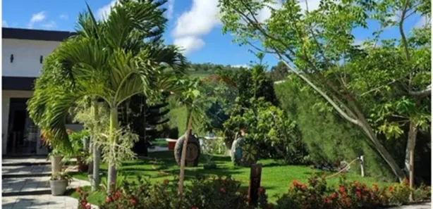 Fazenda / Sítio / Chácara com 6 Quartos à venda, 300m² no Prado, Gravatá