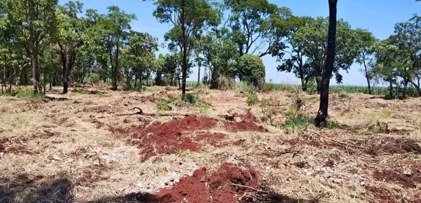 Fazenda / Sítio / Chácara à venda, 2500m² no Portal das Laranjeiras, Araraquara