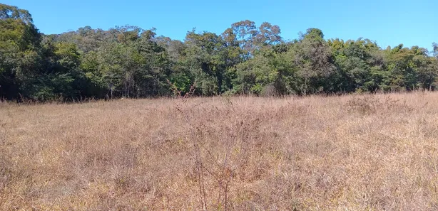 Fazenda / Sítio / Chácara com 2 Quartos à venda, 2081200m² no Núcleo Rural Lago Oeste, Brasília