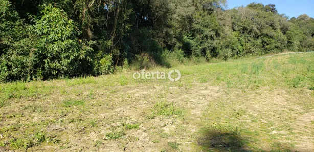 Fazenda / Sítio / Chácara à venda, 22385m² no Porto das Laranjeiras, Araucária