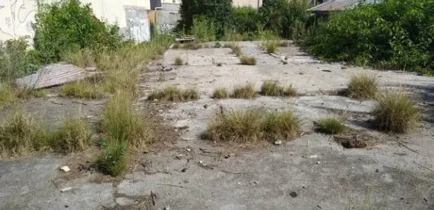 Terreno / Lote / Condomínio para alugar, 480m² no Cabral, Curitiba