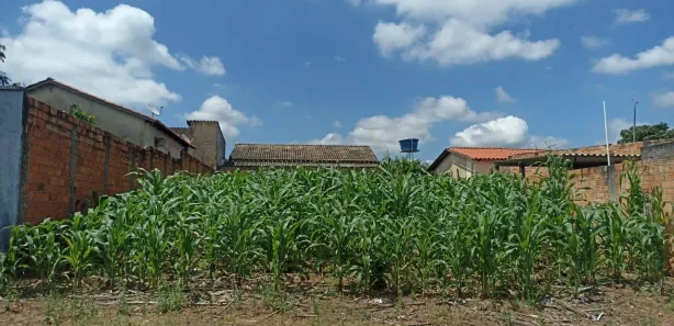 Terreno / Lote / Condomínio à venda, 300m² no Solar Monte Cristo, Senador Canedo