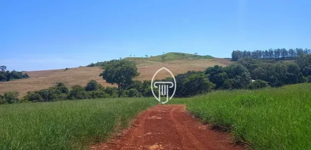 Fazenda / Sítio / Chácara à venda, 387200m² no Cruzeiro do Norte, Uraí