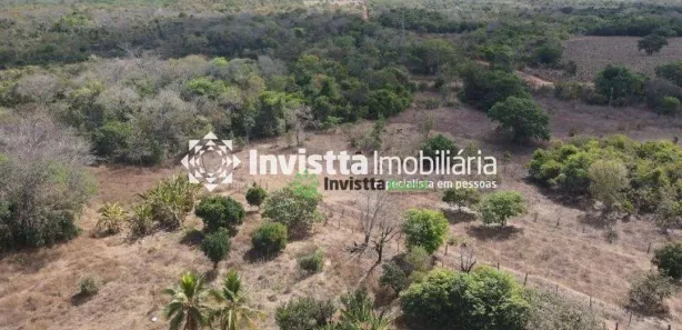 Fazenda / Sítio / Chácara à venda, 600m² no Centro, Lagoa da Confusão