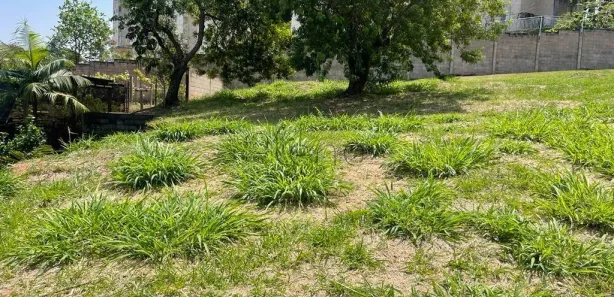 Terreno / Lote / Condomínio à venda, 635m² no Jardim Jurema, Valinhos