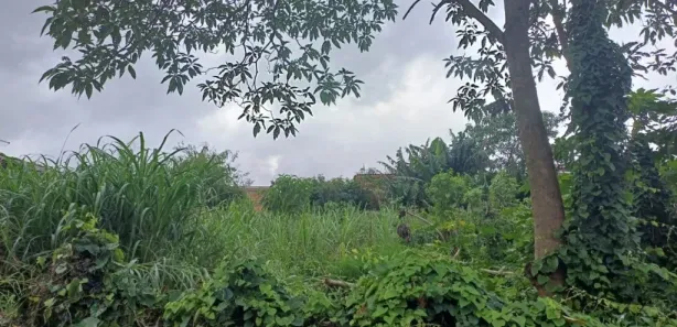 Terreno / Lote / Condomínio à venda, 360m² no Jardim Eldorado, Apucarana