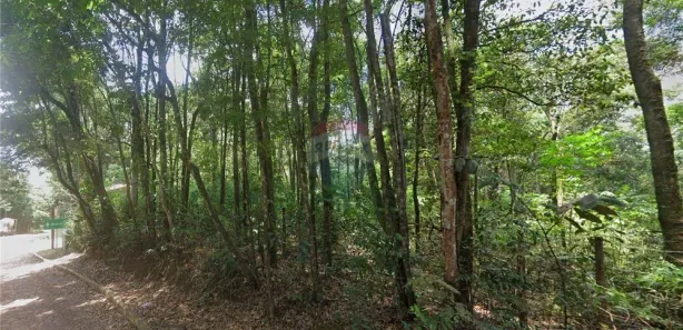 Terreno / Lote / Condomínio à venda, 1600m² no Ecoville, Nova Lima