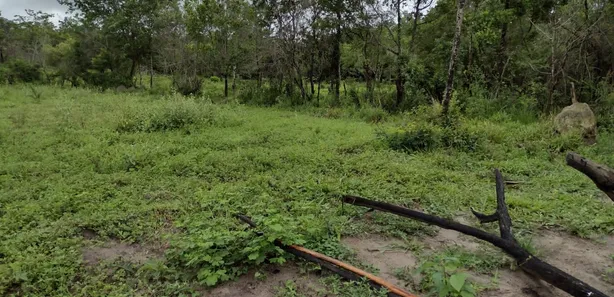 Terreno / Lote / Condomínio à venda, 20000m² no , Fortuna de Minas