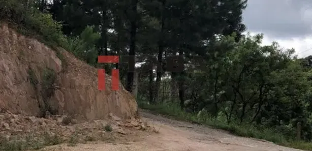 Fazenda / Sítio / Chácara à venda, 7100m² no Botiatuba, Almirante Tamandaré