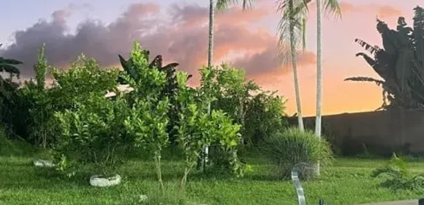 Fazenda / Sítio / Chácara com 3 Quartos à venda, 278m² no Chácara Descansolândia, Ferraz de Vasconcelos