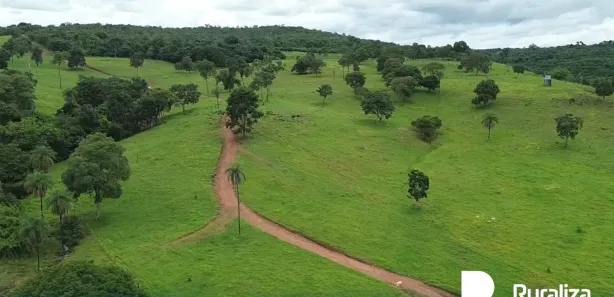 Fazenda / Sítio / Chácara à venda, 91m² no , Guaraí