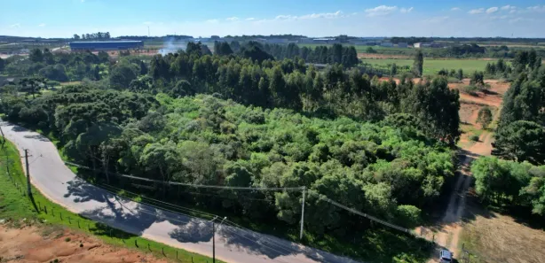 Fazenda / Sítio / Chácara com 1 Quarto à venda, 36000m² no Eucaliptos, Fazenda Rio Grande