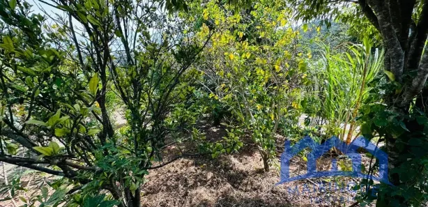 Fazenda / Sítio / Chácara com 3 Quartos à venda, 1000m² no , Mairinque