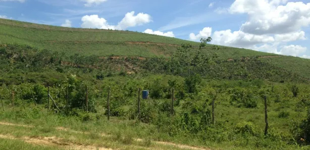 Fazenda / Sítio / Chácara com 3 Quartos à venda, 660000m² no , Pombos