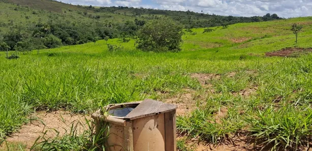 Fazenda / Sítio / Chácara com 3 Quartos à venda, 200000m² no Área Rural de Formosa, Formosa