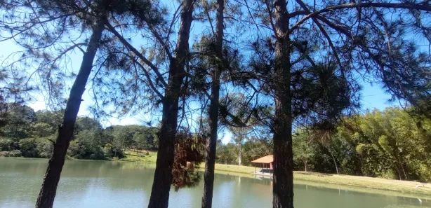 Fazenda / Sítio / Chácara com 2 Quartos à venda, 1000m² no Floresta, Alambari