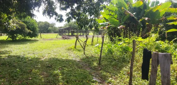 Fazenda / Sítio / Chácara à venda, 1m² no , Paranã