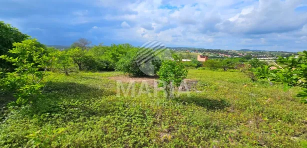 Fazenda / Sítio / Chácara com 3 Quartos à venda, 416m² no Ebenezer, Gravatá