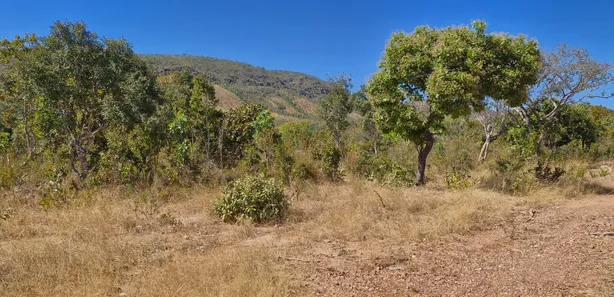 Fazenda / Sítio / Chácara à venda, 10933542m² no , Paranã
